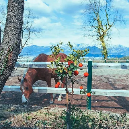 La Pampa Relais &
