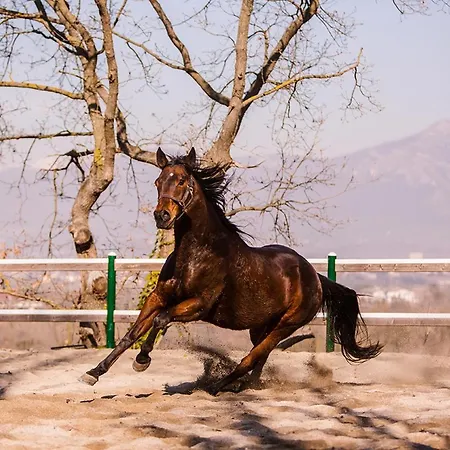 La Pampa Relais & Εξοχικό σπίτι *