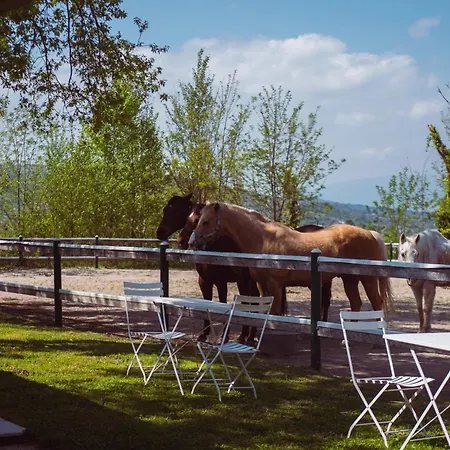 La Pampa Relais & 호텔 Melizzano