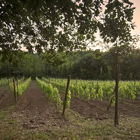 La Pampa Relais&spa 4*
