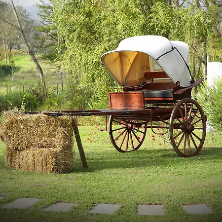 La Pampa Relais & Εξοχικό σπίτι Melizzano